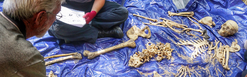 Students identify bones of a faux human skeleton during a course exercise